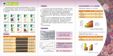 以色列化工集团（ICL）产品市场营销策划 以创新与可持续发展驱动增长